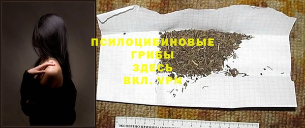 spice Аркадак