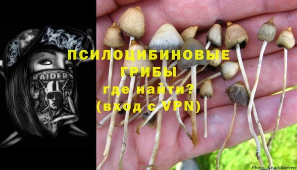 стафф Арсеньев