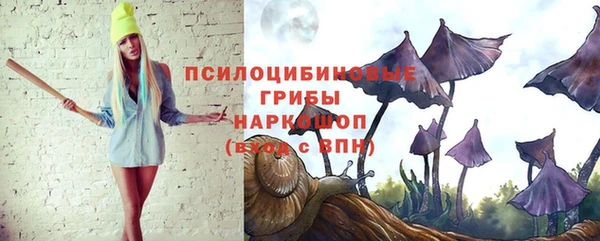 spice Аркадак